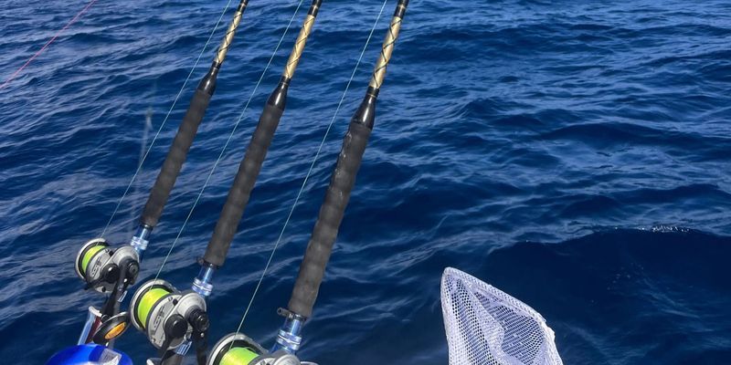 5 Hour And 8 Hour Kite Fishing Florida 